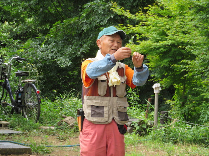 植え漬け方説明