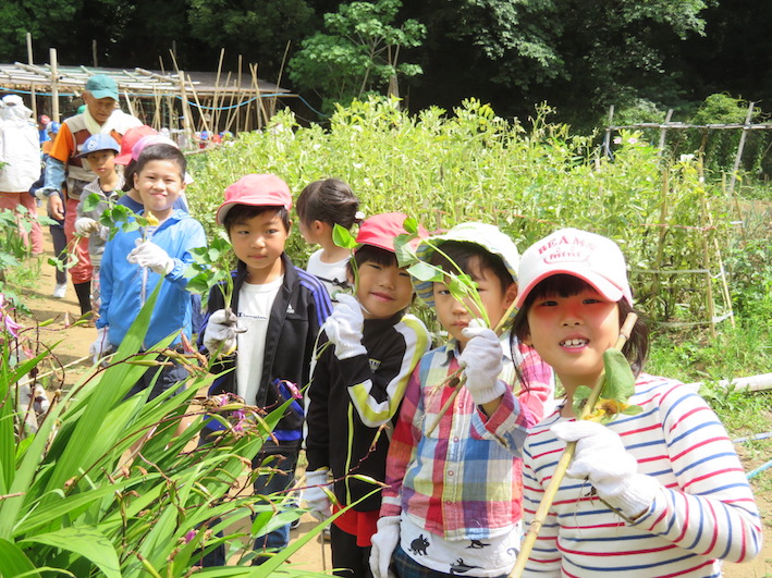 受け取りました