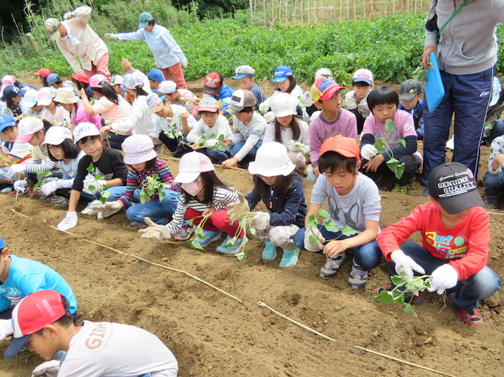 苗を植える準備