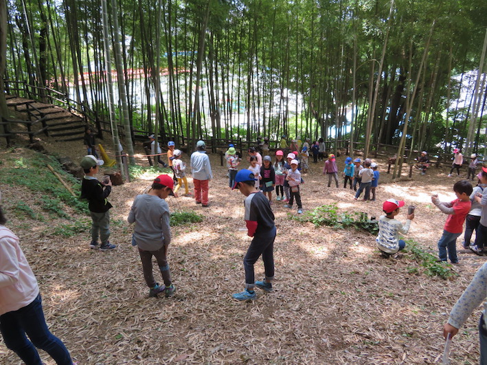 カブトムシ探し２