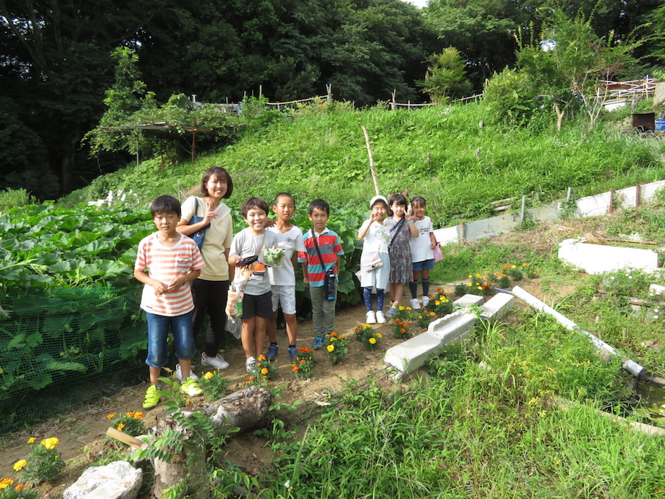 ジャガイモ収穫