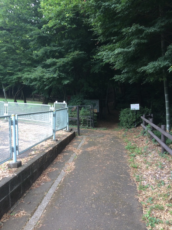 南地区までの道のり７